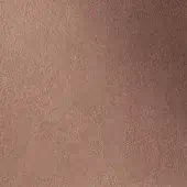 501212 - KAKI